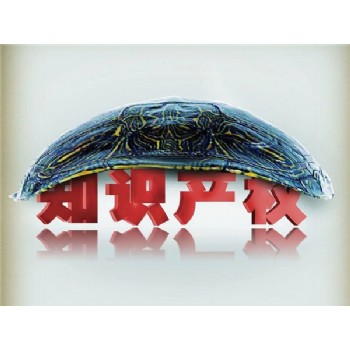 知識產(chǎn)權(quán)